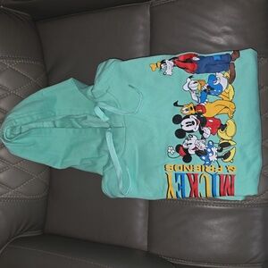 Disney Mickey & Friends Mint Hoodie